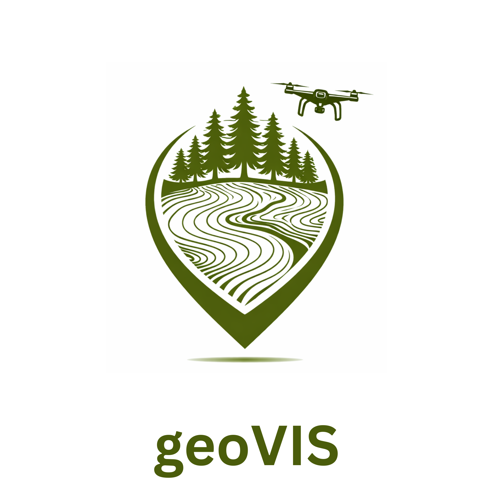 geoVIS logo